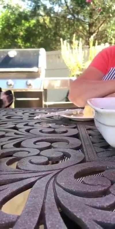 To lick the plate