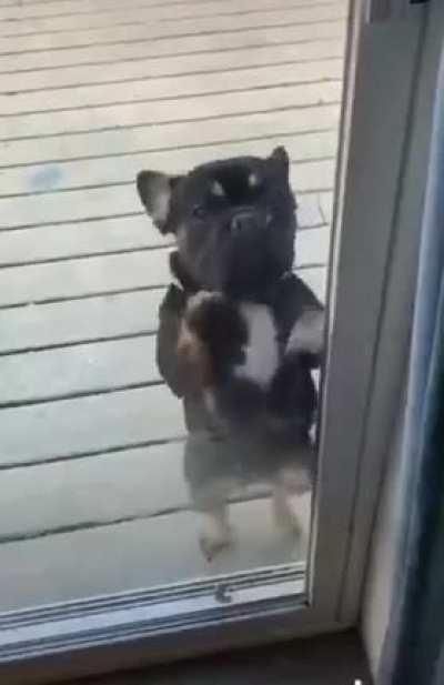 CAN’T beat that FRIDAY feeling