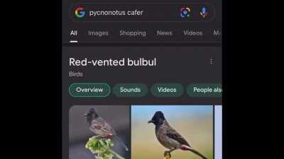 I can’t take it anymore