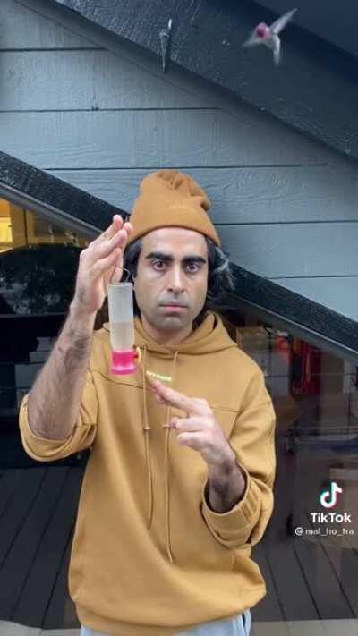 How long to befriend a Hummingbird?