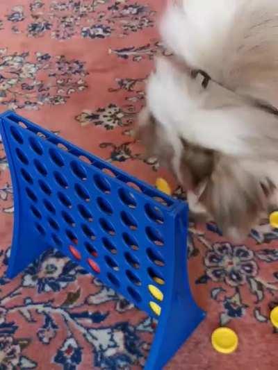 A bit of a sore loser you might say