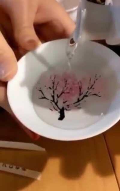 This Special Sakura is so cool