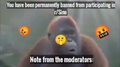 Genocide🦍👌🏻👌🏻👌🏻