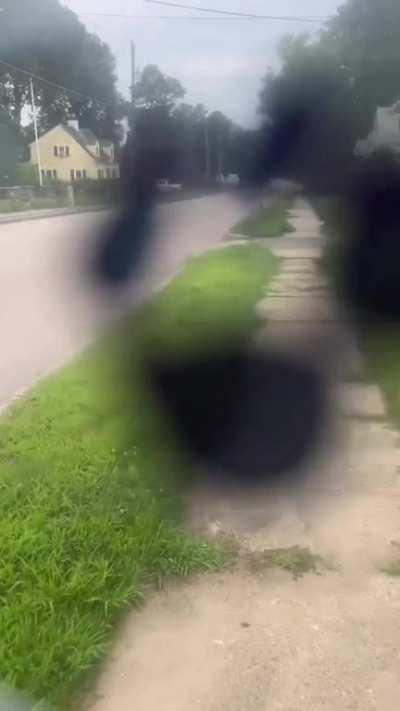 What are the different Eye diseases, and what effects do they have on visibility? This person shows how different eye diseases have an effect on a person's visibility, with some examples and a visual impairment simulation. This is to understand their ever