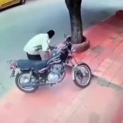 uma dadiva dos ninjas