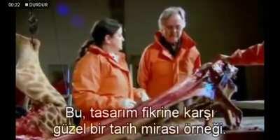 Evrimsel İzler #3: Hayvanlarda ortak olarak beyinden &ccedil;ıkan N. Laryngeus siniri Aort'un altından tur atarak Larynx'e ulaşır. İnsan ya da diğer hayvanlar i&ccedil;in &ouml;nemsiz g&ouml;r&uuml;len bu detay, z&uuml;rafa gibi boynu uzun hayvanlarda anlamsız bir duruma sebep olur. Dawki