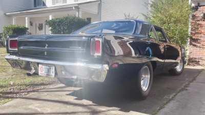 Lots of roadrunner love lately, so here’s mine.