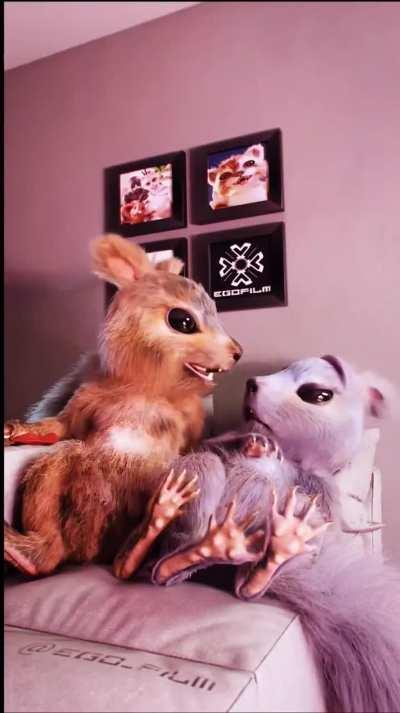 I have now seen it all