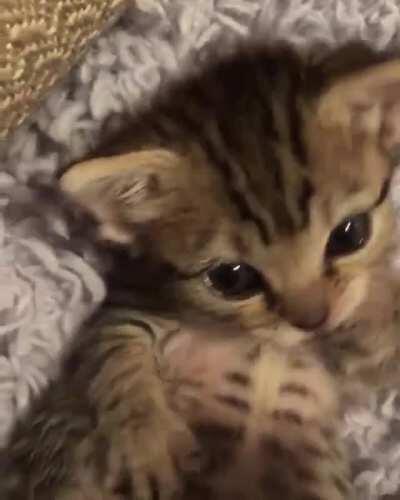 I clean myself to look booful