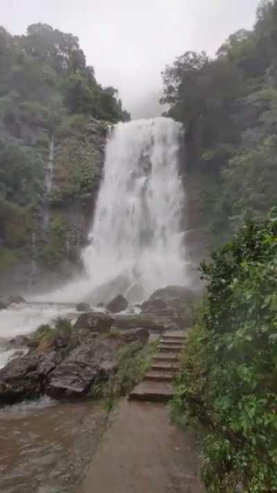 Morning Bondha's. Nenu chusina waterfalls lo one of the best idi. Karnataka lo Hebbe falls last month view idi.