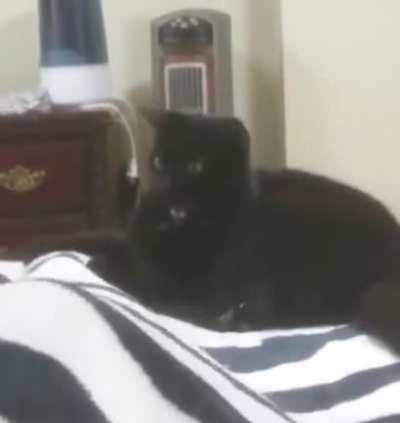 Истинное зло