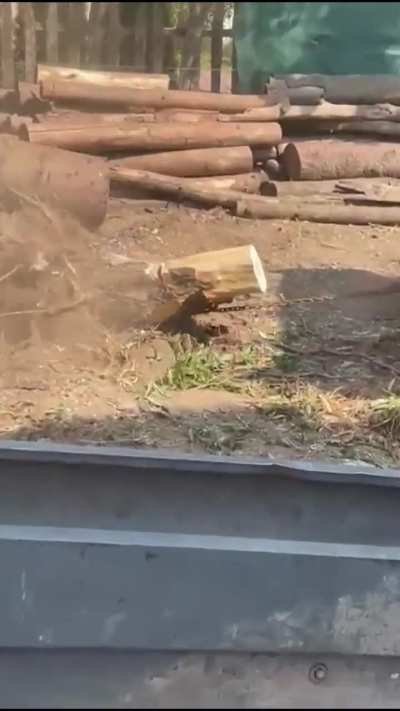 Stump removal