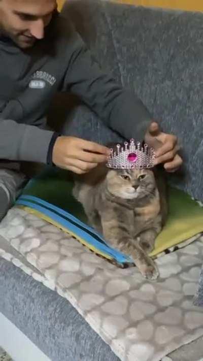 PRINCESS OF GENOVIA 👑