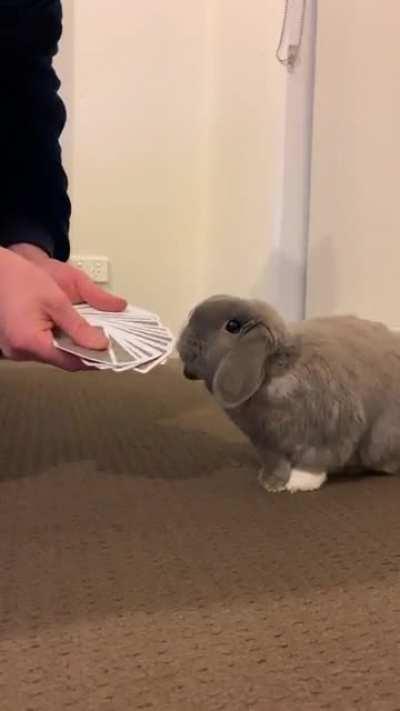 His poker face is second to none