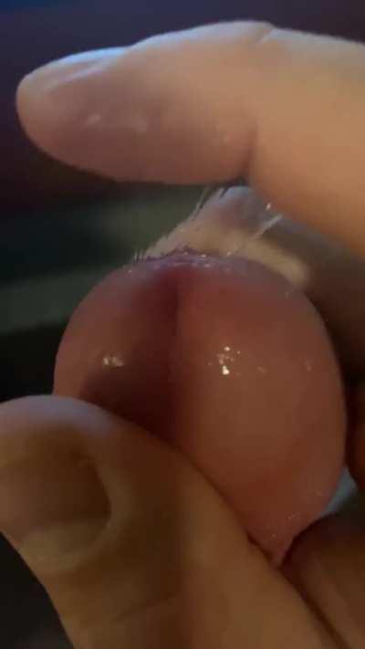 Could really use a mouth to clean up all this precum...any takers?