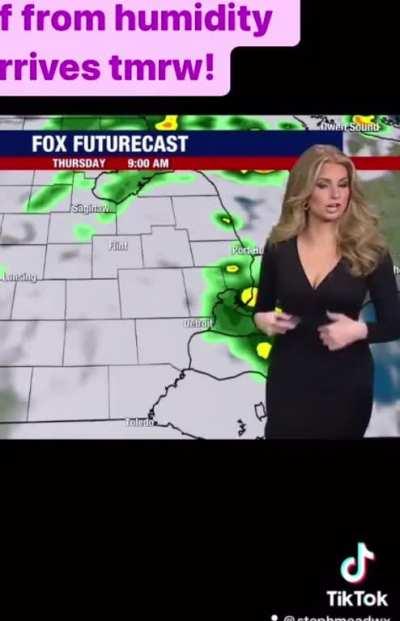 Stephanie Mead FOX 2 Detroit