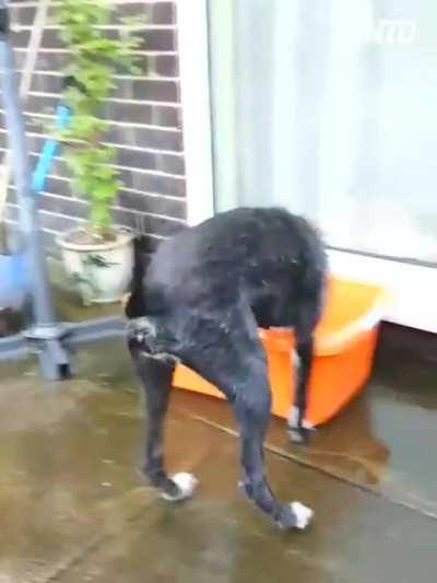 Гулять так гулять