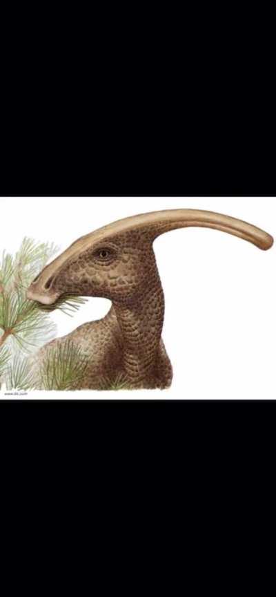 The only dinosaur we know that sounded 99% accurate.. the Famous Hadrosaur; Parasaurolophus.