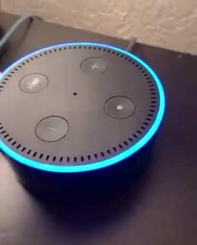 Alexa Fart
