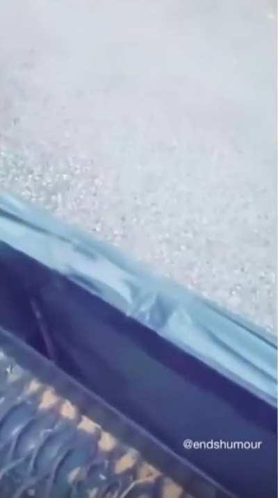 Let’s bring back this classic for Halloween💀