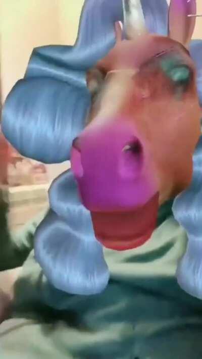 doG GeTtINg hEaRt ATTack afTer UnICorN aTtACKED HIM