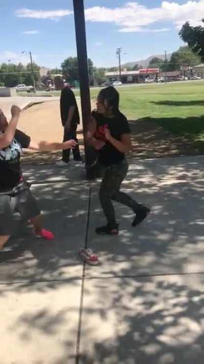 Nothing much just a skatepark kitty fight