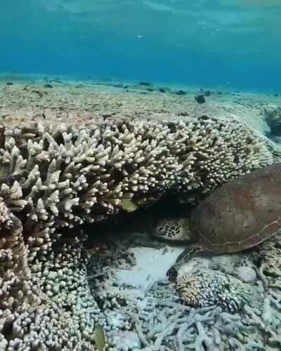 🔥 Sober me vs Drunk me trying to sleep