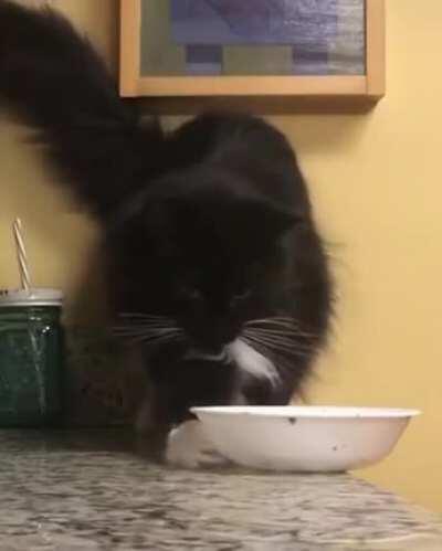 [soft multi-tap] why he do dat (prob repost)