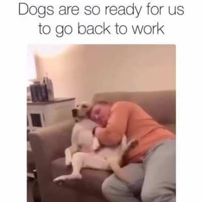 Getting tired of your BS, Carl.