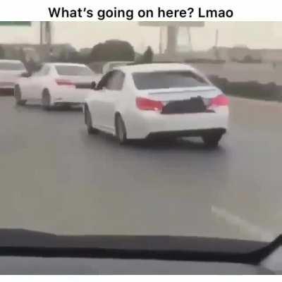 They look like their having fun