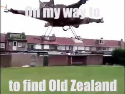 I’m going to find it retards 🦾🐟💦