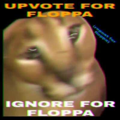 floppa