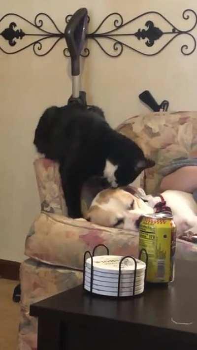 Helping his bro clean those parts he can’t reach