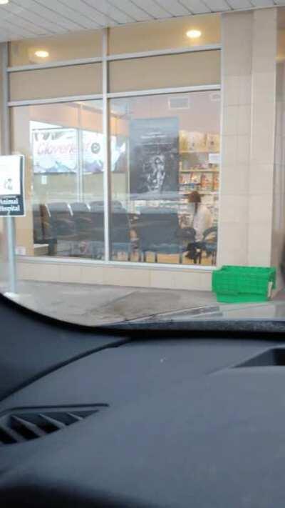 My dog running away from the vet after escaping