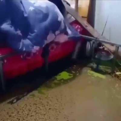 Mano... O QUE ACONTECEU AQUI????