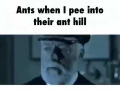 Evacuate Immediately