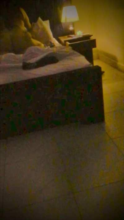 Let’s just go crazy, Let’s make a baby, we gon’ need new laundry