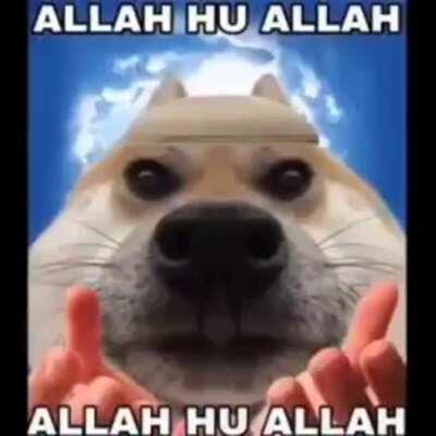 This video will enlighten you