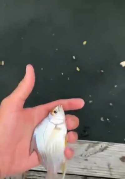 Back you go, little fella!