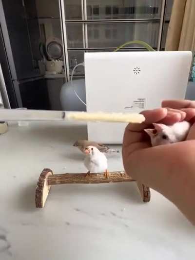 Bro is filling his wunkin dowunks with filling