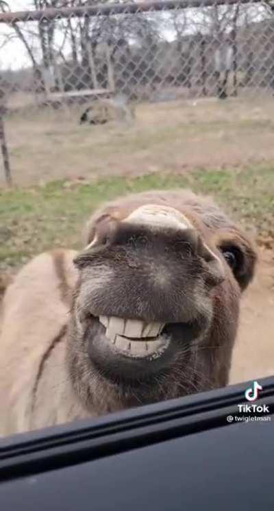 Hey Ladies, How You Doin'!