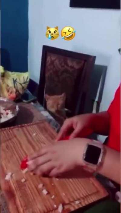 Why is the air spicy?