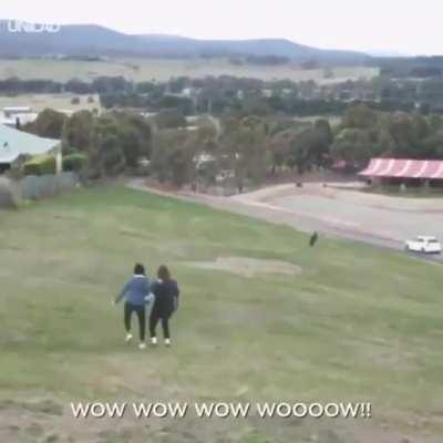 Tire Town calls, and I will answer.