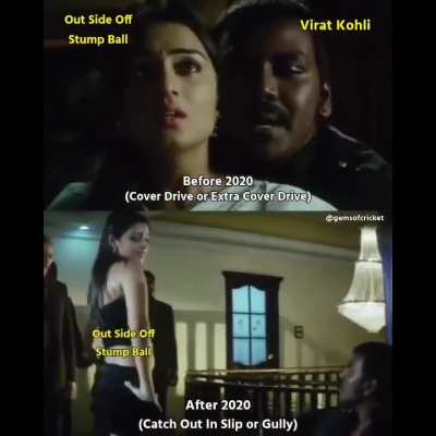 5th stump ball chasemaster