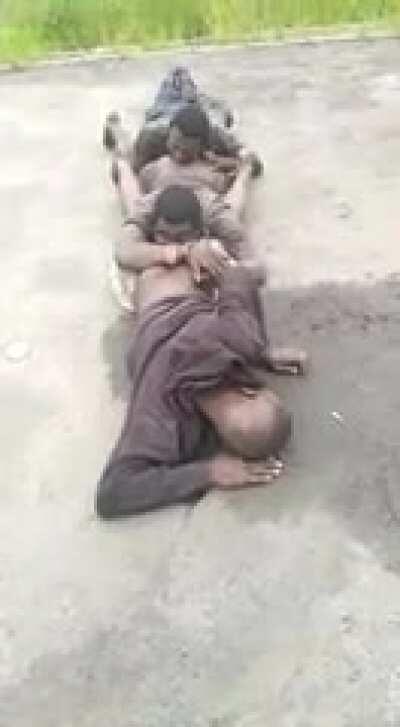 Rodditori susținându-se între ei