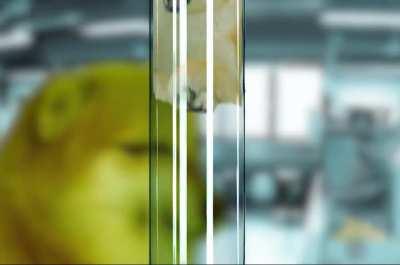 Le ethically questionable experiments have arrived