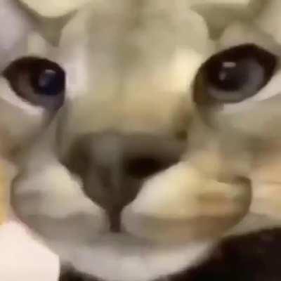 My honesto reaction: