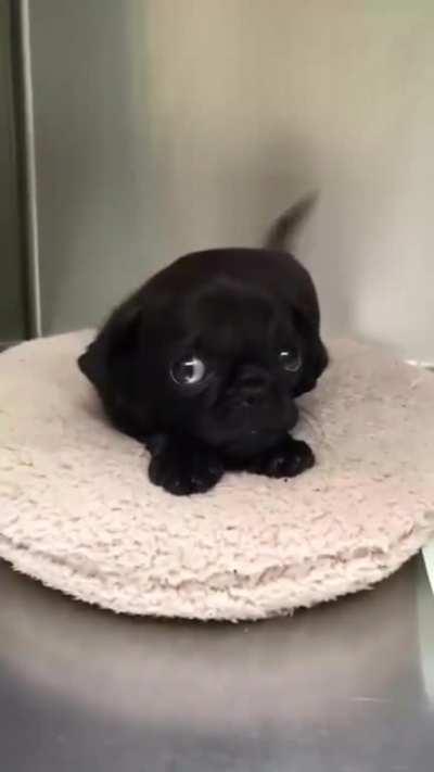 When you're shy, but you also have a crush on someone