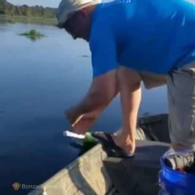 That's one big catfish