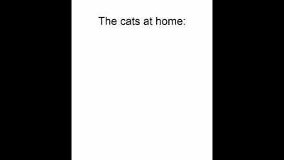 Expectations vs reality